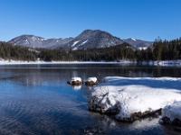 Offenes Wasser im Südufer Bereich